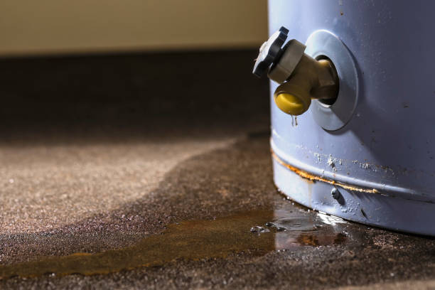 Best Water damage restoration near me  in Ddanelle, AR