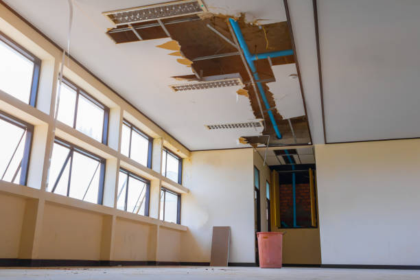 Best Local water damage restoration  in Ddanelle, AR
