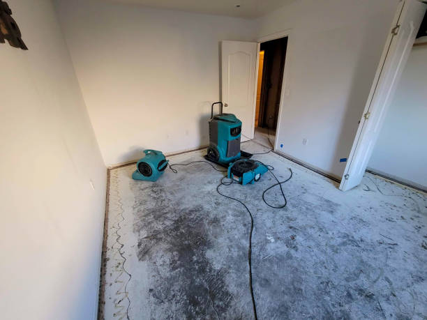 24/7 water damage repair in Dardanelle, AR