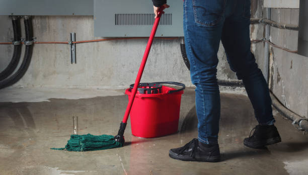 Best Mold removal after water damage  in Ddanelle, AR
