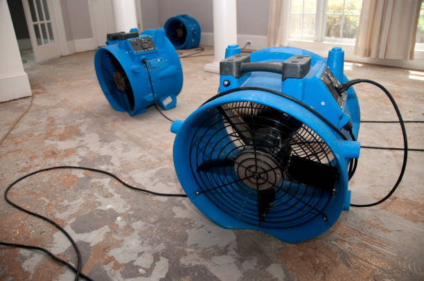 Best Professional water damage repair  in Ddanelle, AR