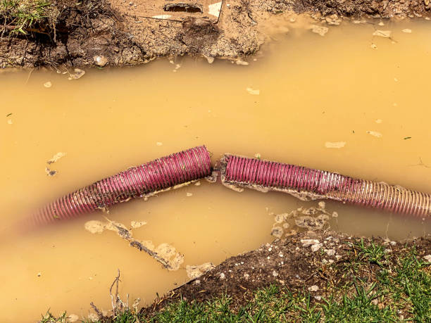Best Water damage restoration near me  in Ddanelle, AR