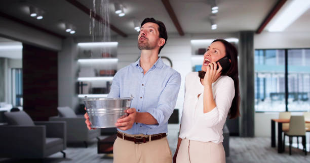 Best Sewage cleanup and water damage restoration  in Ddanelle, AR